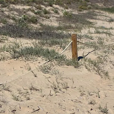 Tu Refugio En Xeraco Playa 플라야 데 헤라코